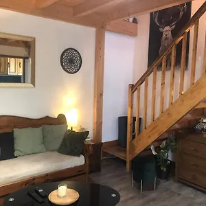 Appartement Duplex T3 Avec Balcon - Halle Olympique, Albertville