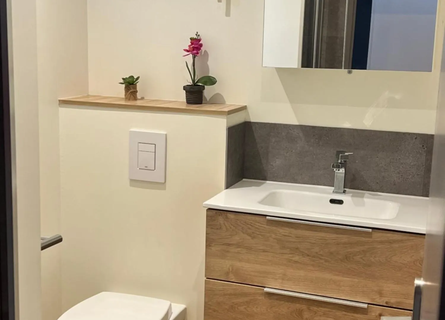 Cocon De Albertville Apartment